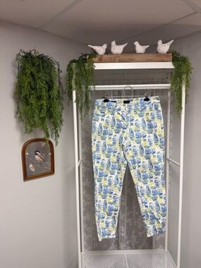 Talbots Water Colour Vases Slime Ankle Jeans - Size 12